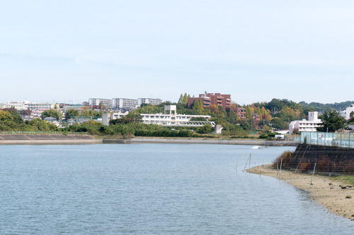 惣喜池-3