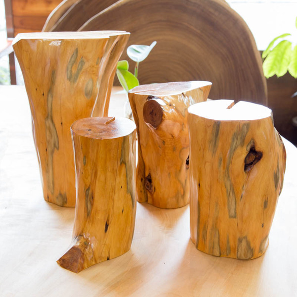 ダボスコ-1709281