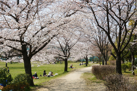 北山公園130330-01