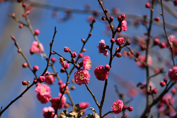 7f0a231f
