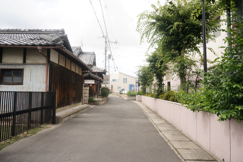 maedagumi-180