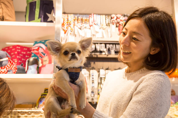 グリーンドッグ-170406101