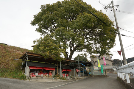 地蔵池140204-18