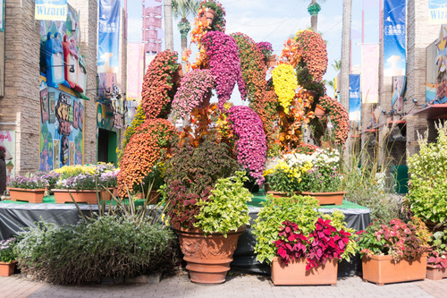 イベント-15110613