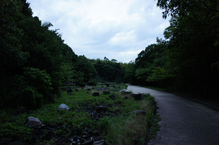 resize20120618192305