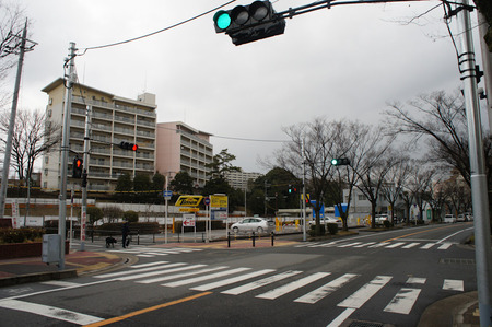 120225DSC05292