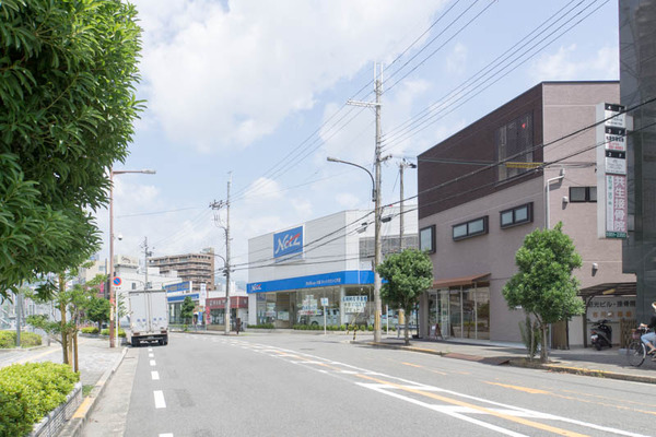 sugi-1707062