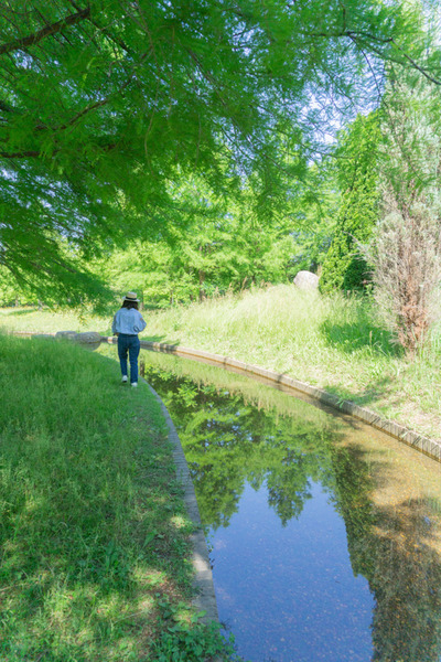 山田池公園-16