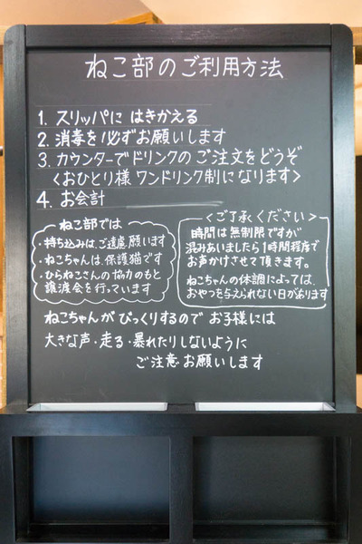 猫カフェ-1802026 2