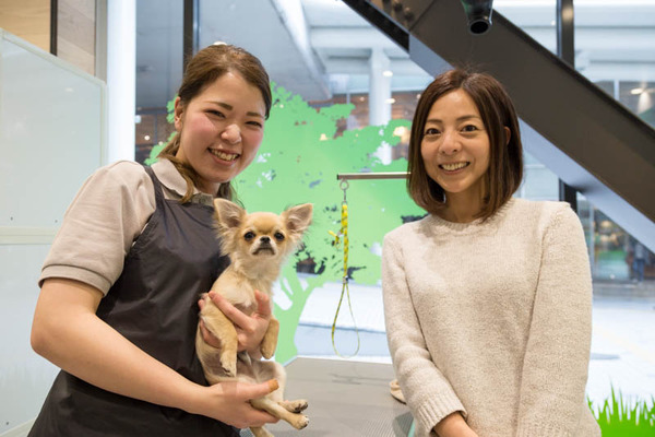 グリーンドッグ-17040683