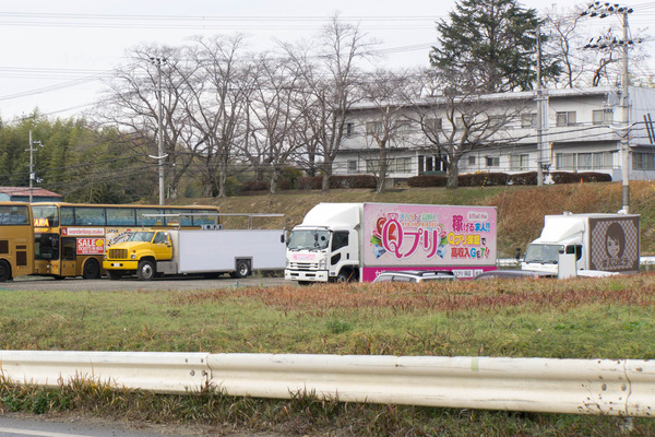 バニラ-1812263