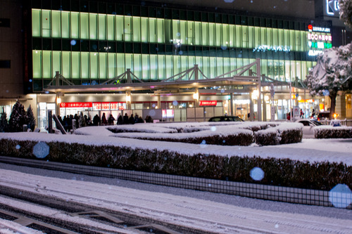 雪の正月-37
