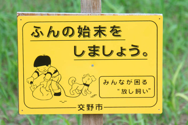 看板明るいの1-18062618
