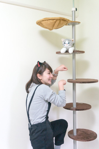 猫マンション-15121039