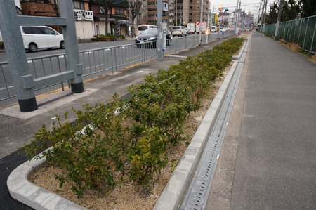 牧野の歩道130226-19