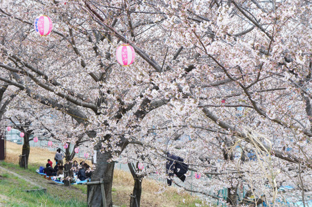 120406DSC08472