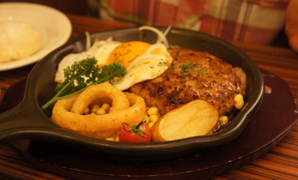 20100827pan5
