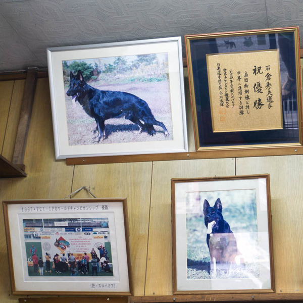 石倉警察犬訓練所-1803202