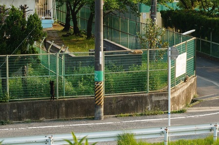 長尾小学校130506170059