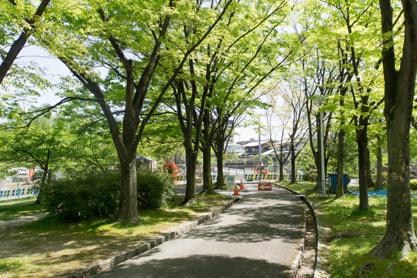 小学校-1804191
