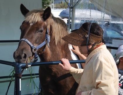 20100502uma1.jpg
