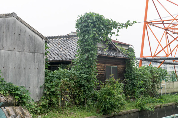 街ブラ-17092018