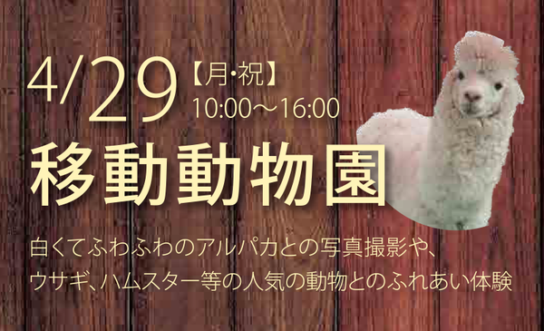 チラシ1