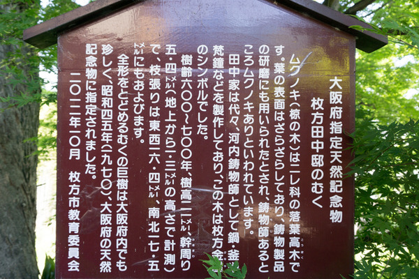 枚方田中邸のむく-2