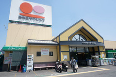 スーパーパルコープ-1