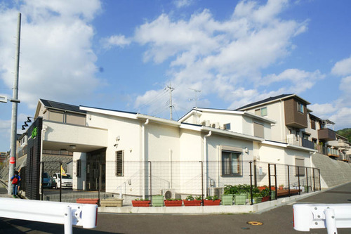 konoha-50
