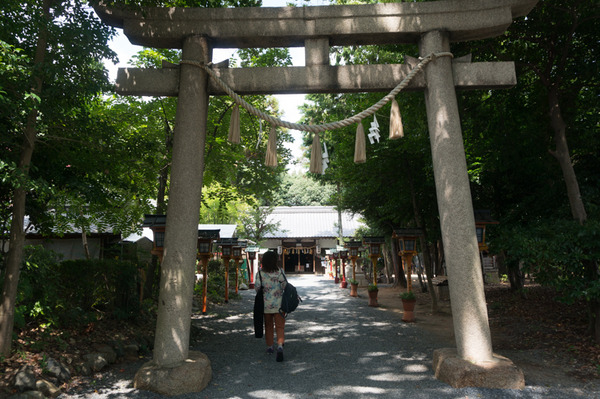 御殿山-169