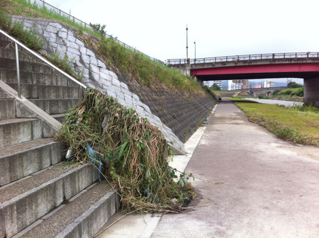 2012-08-14 15:52:55 写真8