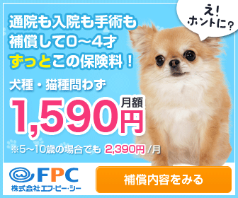 201405161555134869