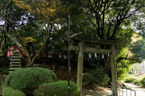 意賀美神社-15122401