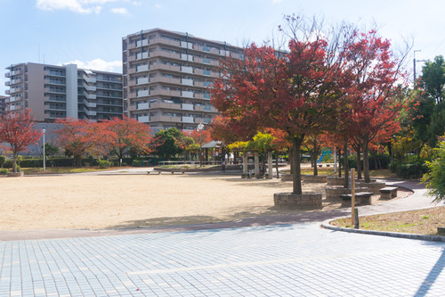 出口ふれあい公園-1511118