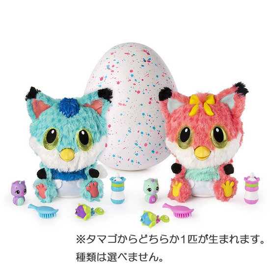 ウーモ ベイビー フォキシー(イメージ)
