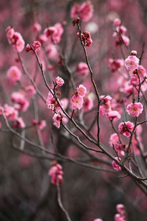 IMG_2866