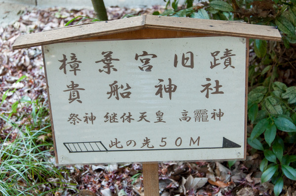 LINE-295