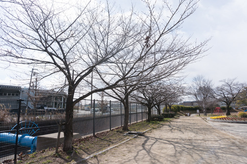 blooming-gardenくずは_122