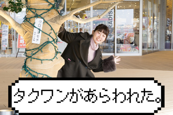 ニトリモール枚方-バレンタイン-41