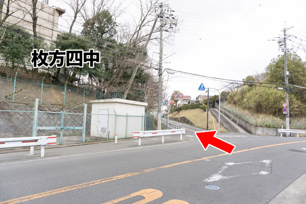 ペットコロニー香里ケ丘店-ドッグサロン-93