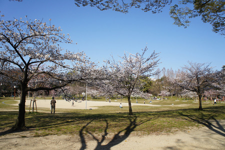 楠葉東公園110406-05
