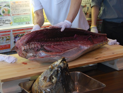 20100502maguro2.jpg