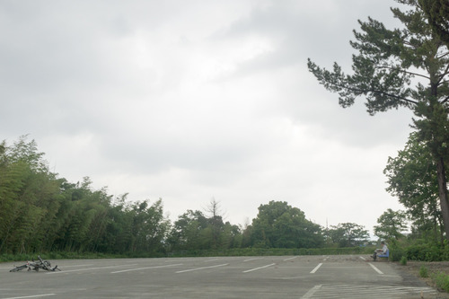 中宮道路-15051911