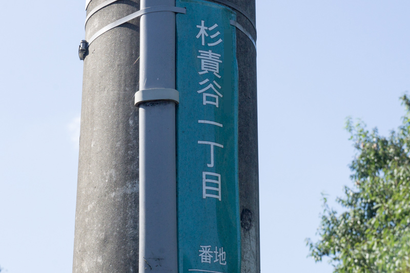 杉責谷-15101401