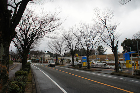 120225DSC05300