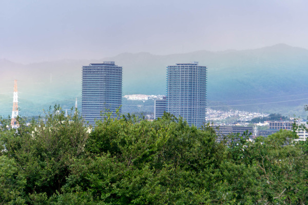 台風-17102331