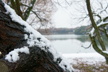 20110211DSC05459