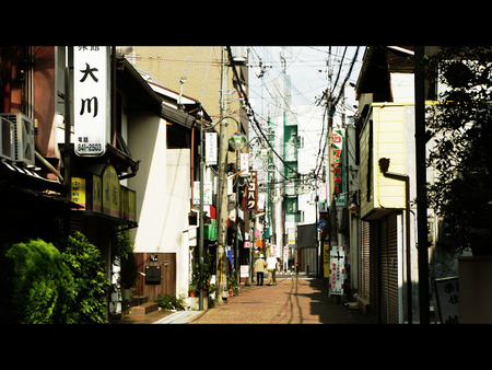 20110905DSC04527