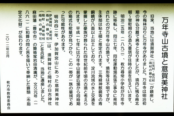 意賀美神社-15122403